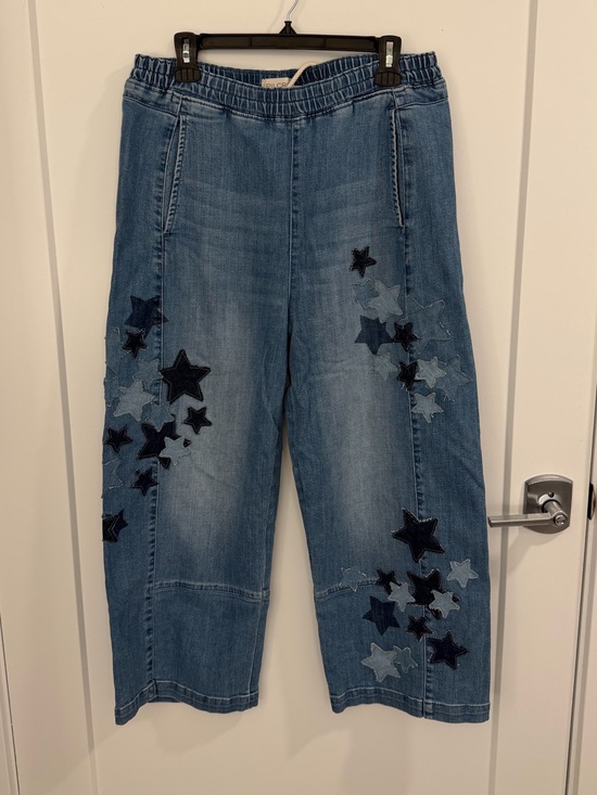 Pilcro Denim - Pilcro Izzie Relaxed Star Pull-On Barrel Jeans - Size M